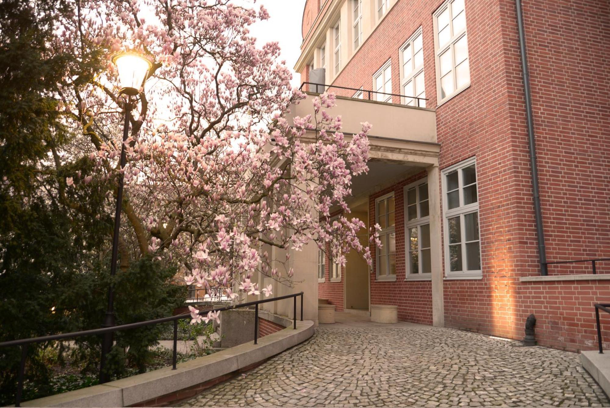 Rooms In Historic Heart Of 브로츠와프 외부 사진
